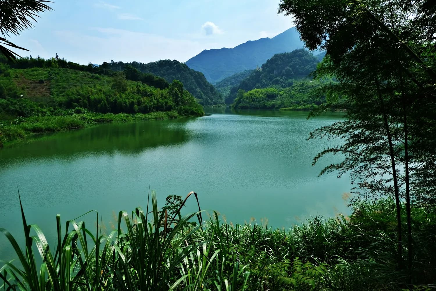全国首个“天然氧吧城市”诞生！丽水凭何摘得这一生态桂冠？