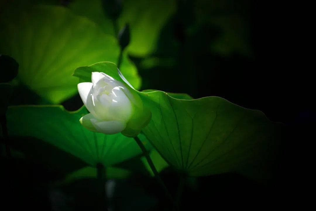 一个家庭最好的风水：勤翻书、少翻脸、懂翻篇