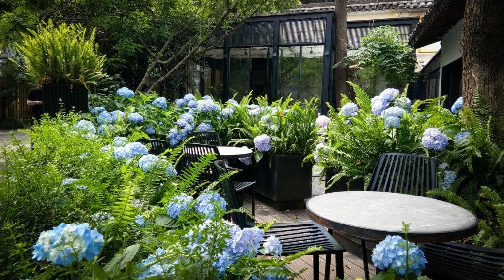 庭院景观设计入门：从布局到植物选择的全攻略