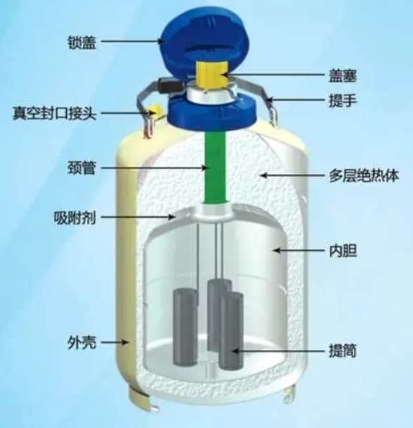 液氮罐夹层是什么