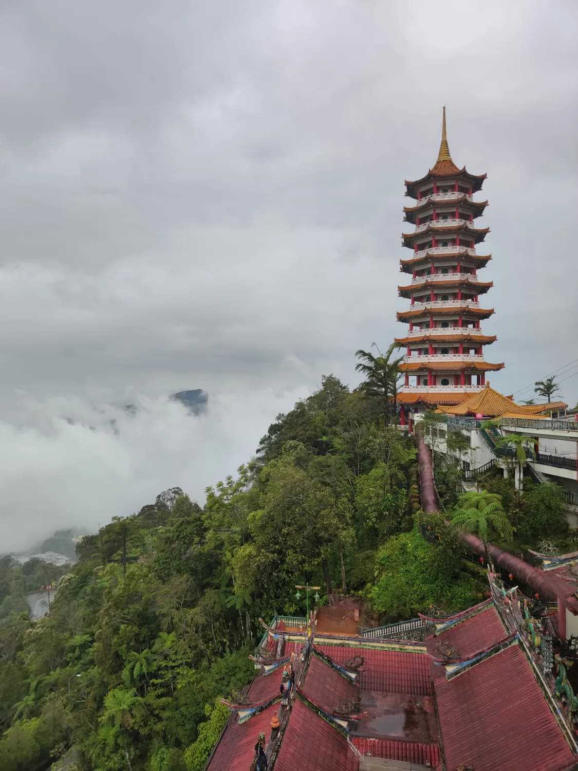 青城山：道教仙山的深度游指南