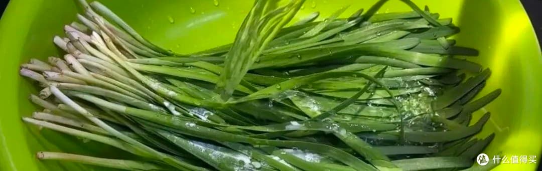 春日养生美食推荐：韭菜炒鸡蛋