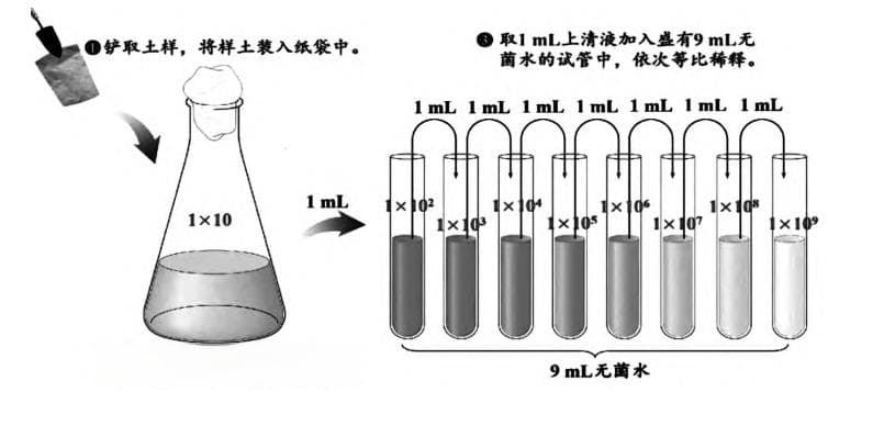稀释涂布平板法计数微生物的四大误区
