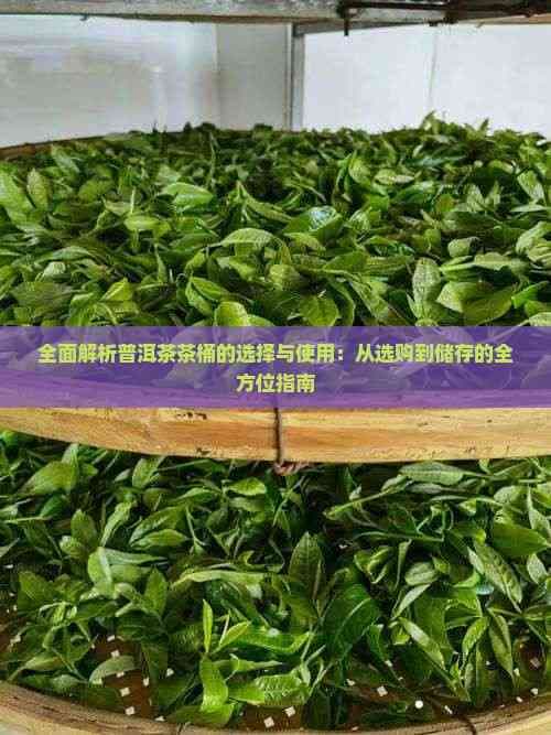 全面解析普洱茶茶桶的选择与使用：从选购到储存的全方位指南