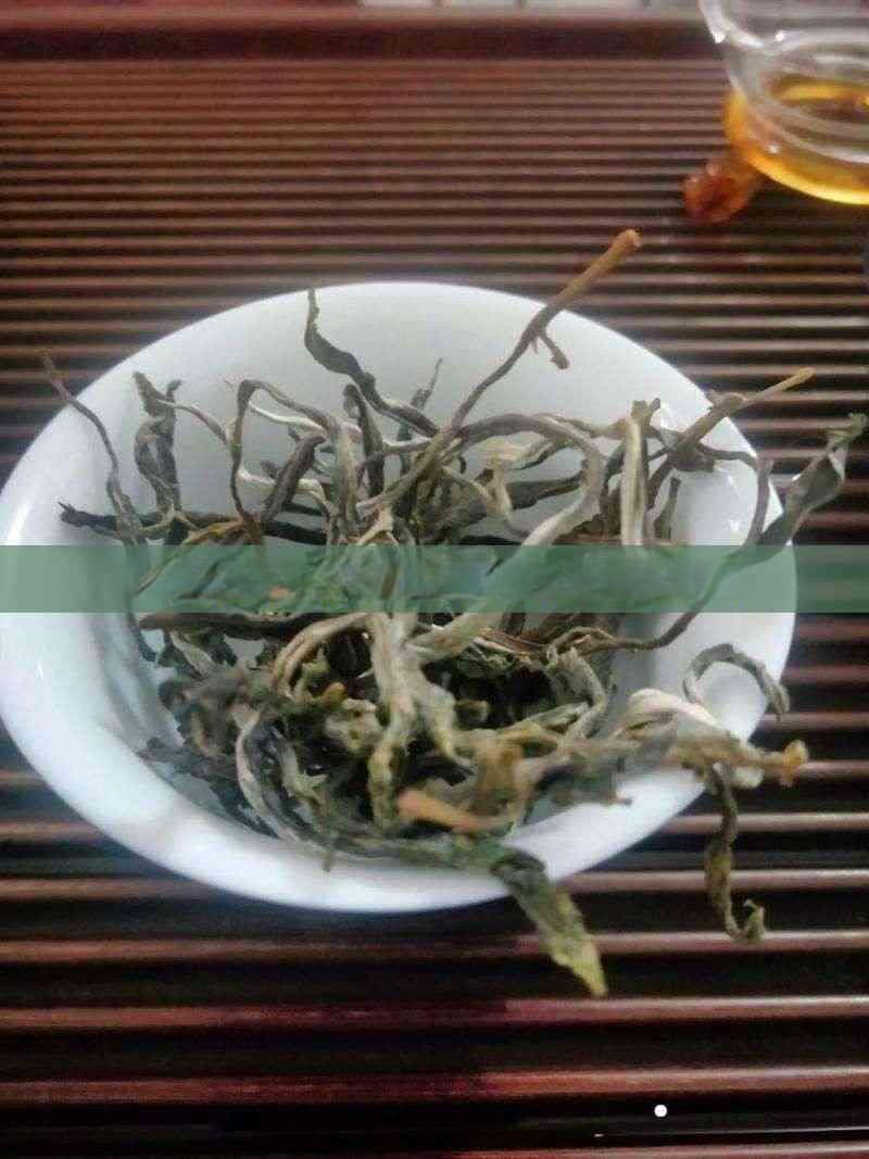 普洱茶无性栽培技术：历史、现状与未来