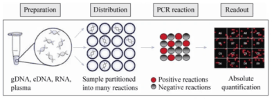 怎样正确区分PCR、qPCR、dPCR、RT-PCR、RT-qPCR