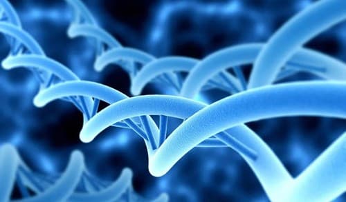 《科学》重磅：迄今最完整的人类基因组测序结果公布