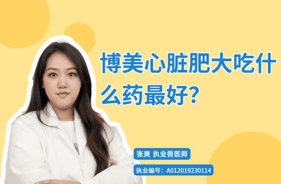 【宠医科普】博美心脏肥大吃什么药最好？