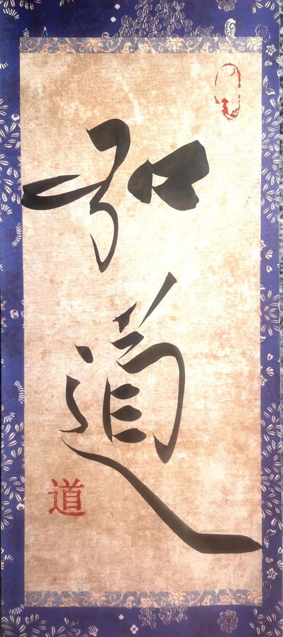 今年的桂花说：迟开尤是一种定力