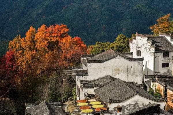 婺源篁岭自由行攻略