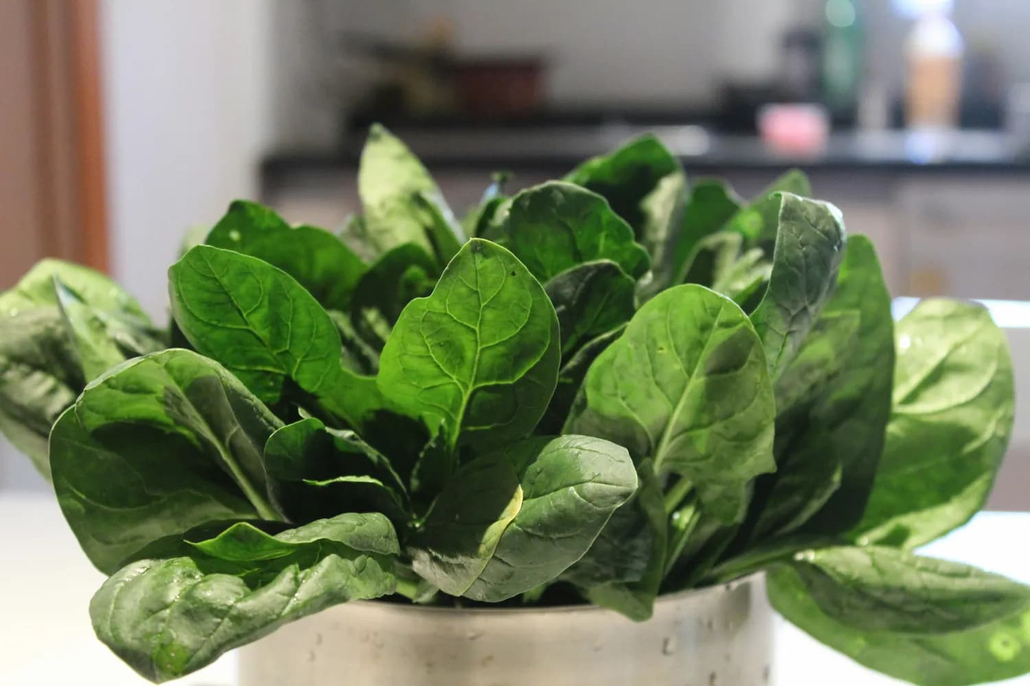 40天收获菠菜，大蒜静待来年：冬季种植指南