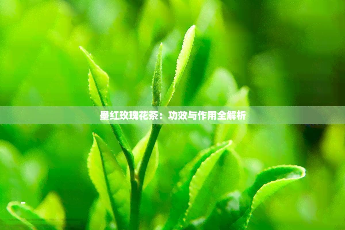 墨红玫瑰花茶：功效与作用全解析