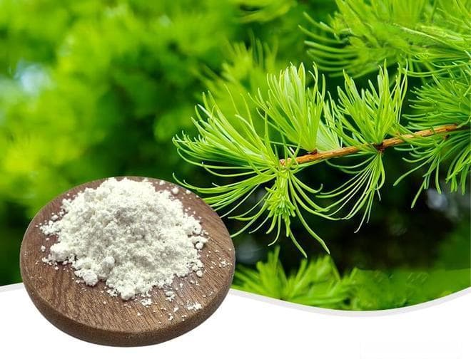 二氢槲皮素：天然的健康宝藏