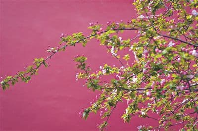 北京的繁花文旅产业的秘密