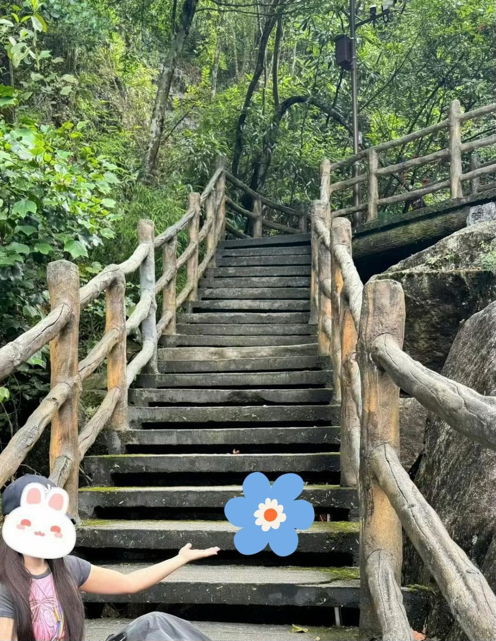 湖南现莽山原矛头蝮，“小青龙”为何能成为蛇中国宝？其毒性有多强