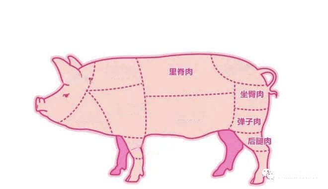 猪肉怎么做才好吃！