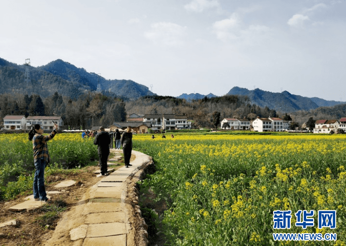 “赏花+”扮靓春游新体验