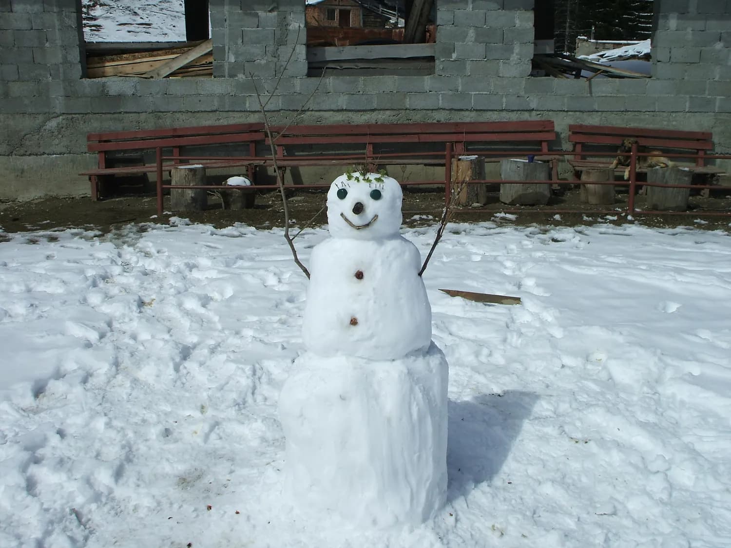 看图写话堆雪人，让孩子秒变写作小达人！