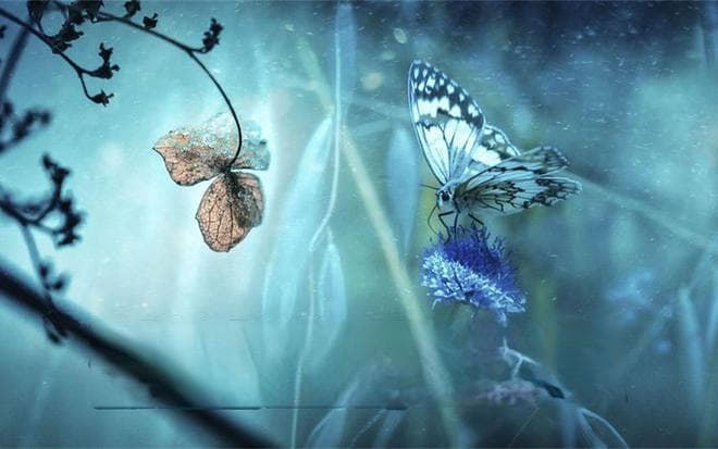 硅基生物，近乎无敌的存在，很可能是人类的“掘墓者”