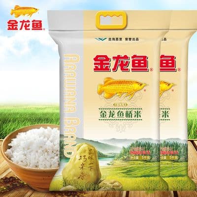 龙鱼缸里配什么鱼最好？如何选择合适的鱼种来丰富观赏性同时保持水质稳定？