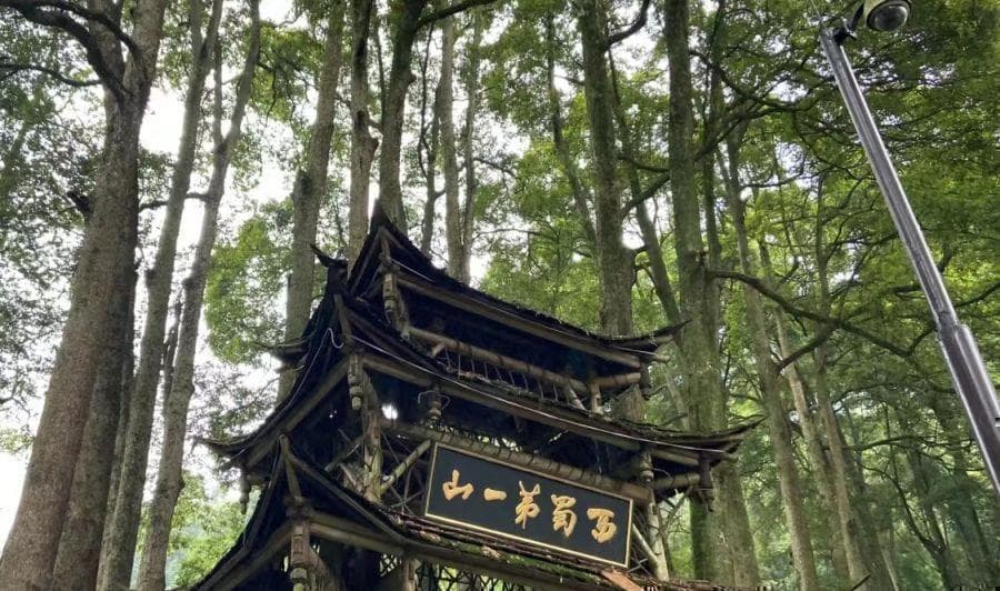 青城山都江堰一日游攻略（门票+路线+游览时间）