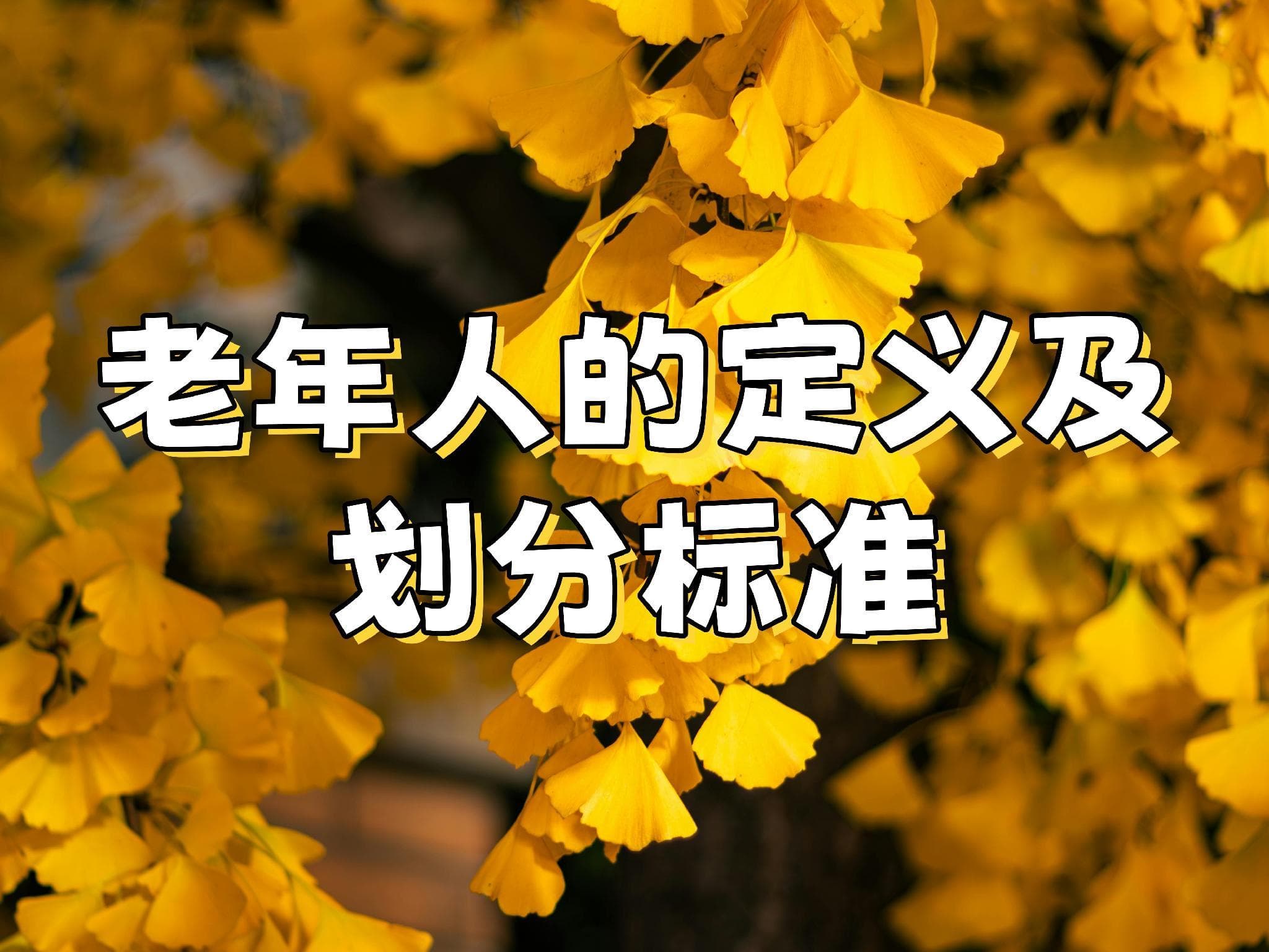 老年人的定义及划分标准
