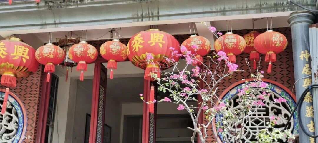 高考议论文思辨写作七大思维支架，具体运用及范文！放飞思维，赢得高分！