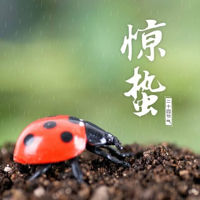 “惊蛰万物生，三吃两不做”，惊蛰饮食有讲究，这“3吃”指啥？