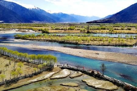 雅尼湿地：青藏高原上的8738公顷生态绿洲