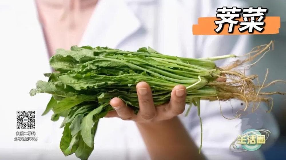 春天推荐吃这4种野菜 如何正确食用？