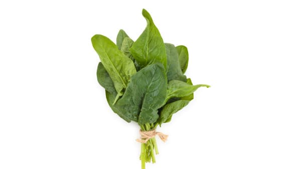 为什么菠菜尽量少吃一点了