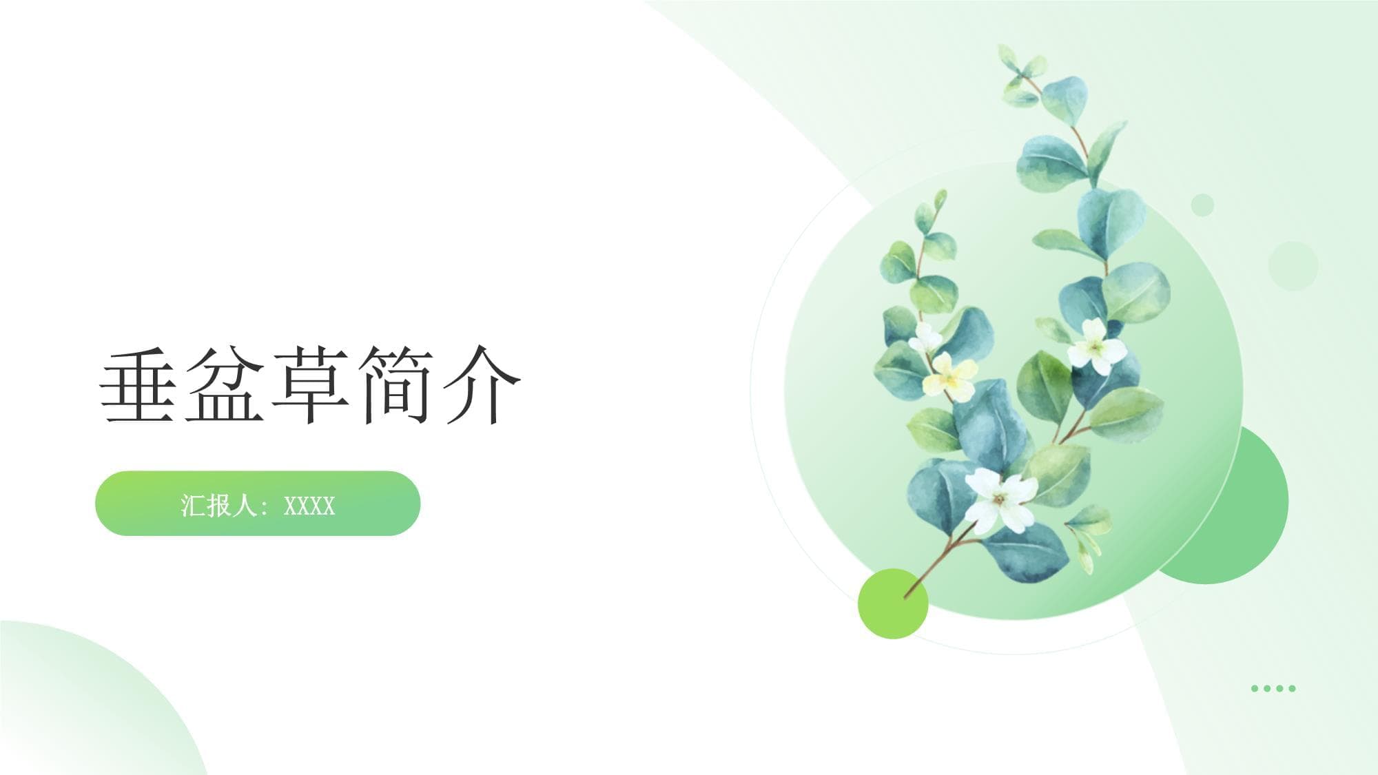 垂盆草：从种植到药用的全方位指南