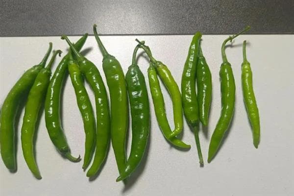 杭椒和小米椒的区别是什么，外观、味道、产地均不同