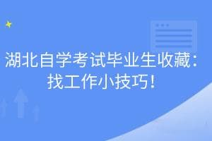 自学考试毕业生求职指南：从方向到面试的全方位攻略