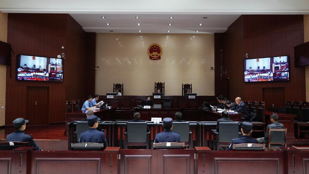 非法买卖画眉鸟获刑！涉案金额高达72万元