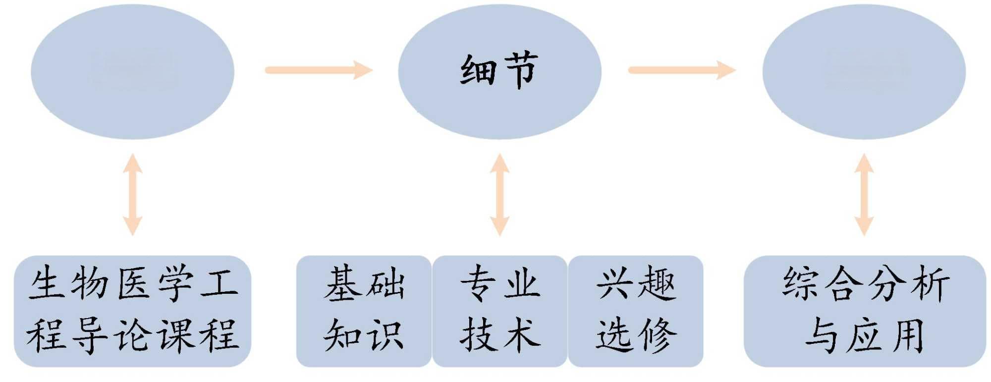 生物医学工程导论在电子信息工程专业的探索