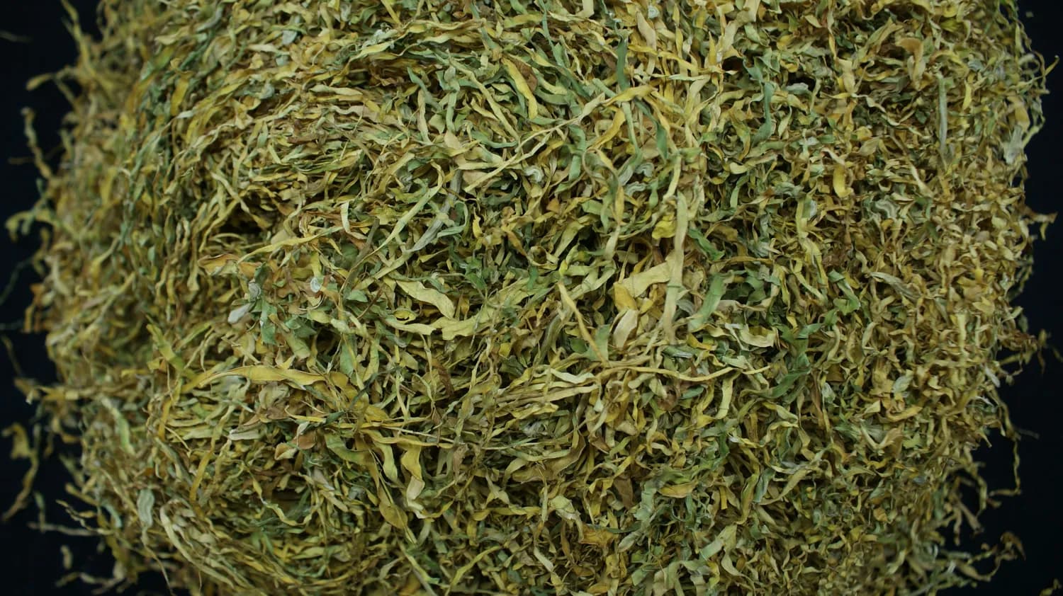 金钱草配鸡内金：中医治疗肾结石的黄金组合