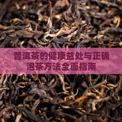 普洱茶的健康益处与正确泡茶方法全面指南