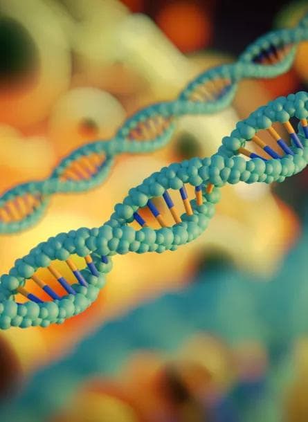 微卫星稳定性生物标志物 (MSS) 和结直肠癌