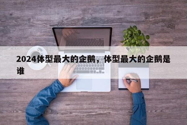 世界上最大的企鹅：帝企鹅