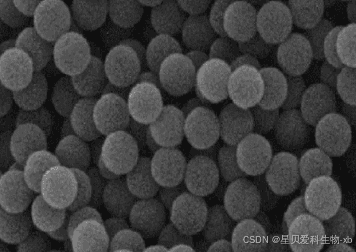 SH@PS Microspheres|巯基修饰聚苯乙烯微球