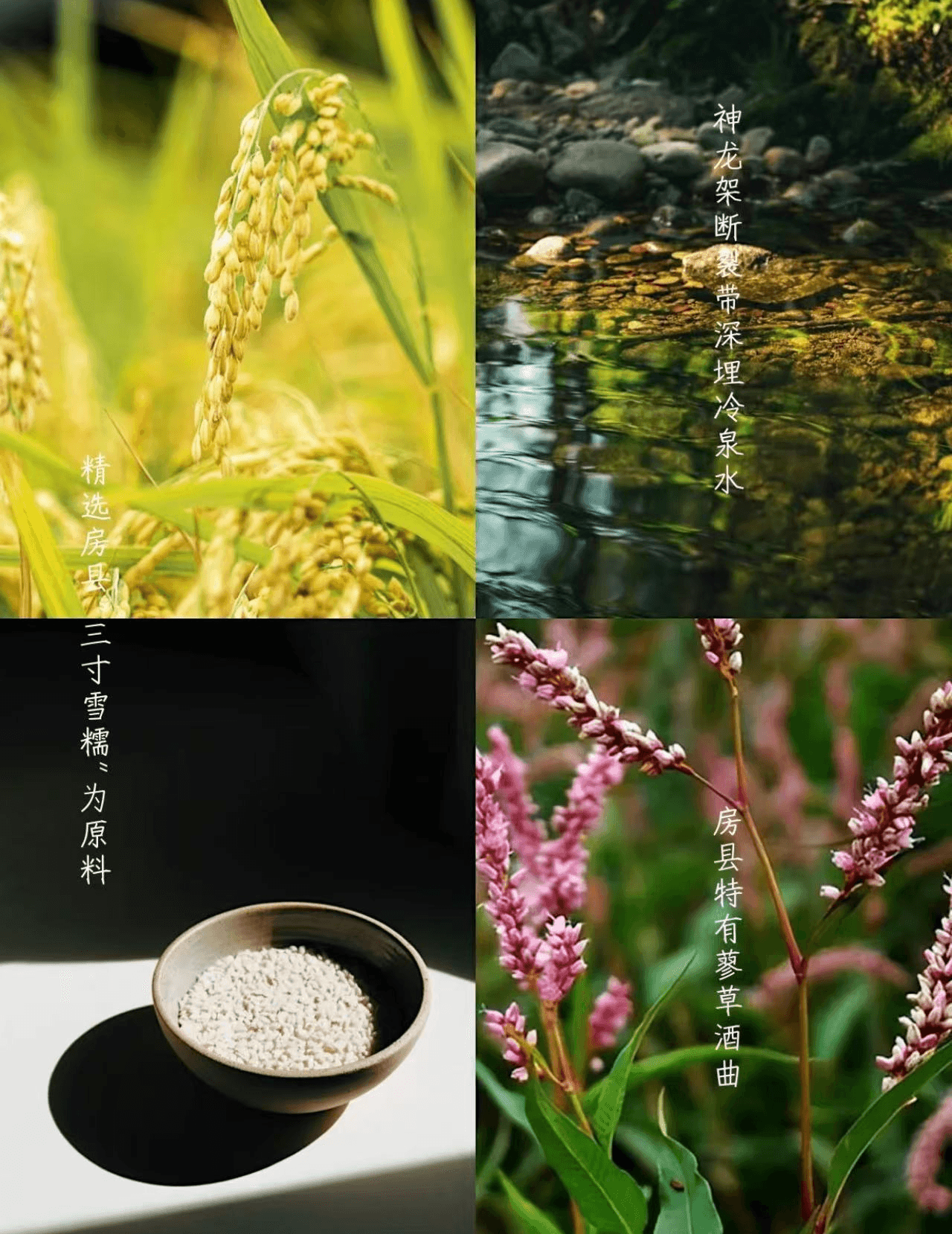 品房县黄酒，读华夏酿酒史诗