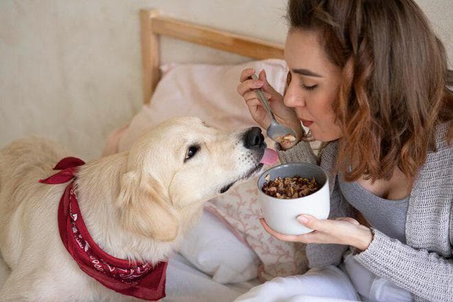 2024狗粮成分大揭秘：狗狗健康饮食秘籍，让你的爱宠更活力四溢！