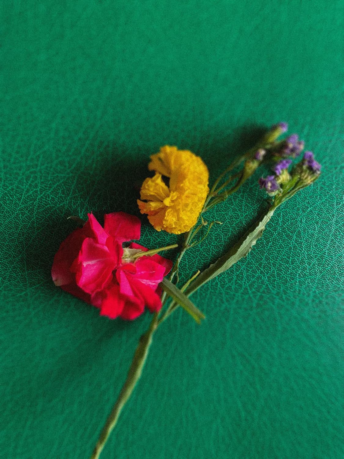 琼瑶经典《三朵花》人物原型揭秘