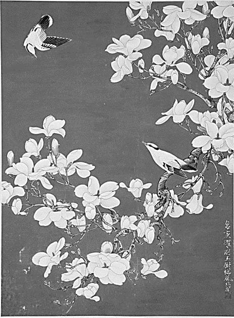 《玉兰黄鹂》的故事