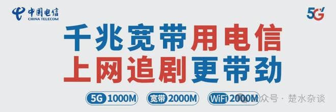 兴化张桃芳 —— 从冷枪英雄到歼击机飞行员的传奇人生