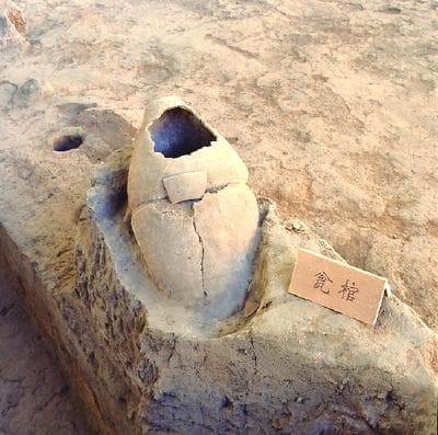 探寻"千古之谜"：西安半坡遗址中的小女孩墓葬