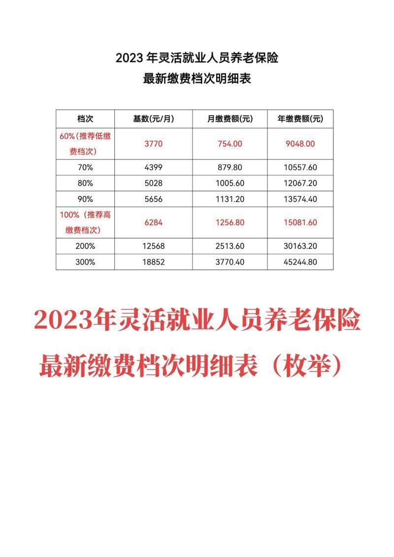 社保缴费档次及费用详解：灵活就业人员如何选择？