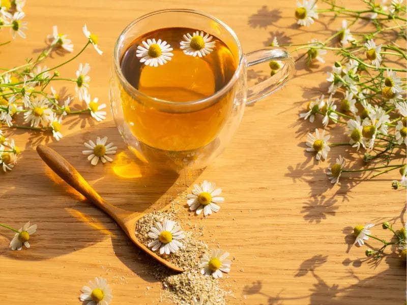 洋甘菊茶、菊花茶功效及关键成分木犀草素