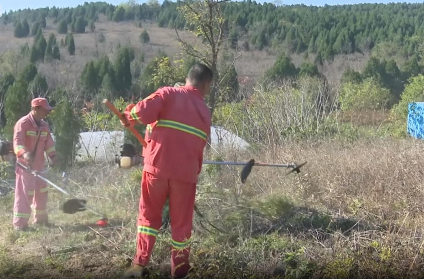 青州：构建多位一体安全管理体系